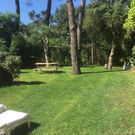 La Maison Face Au Port Lège-Cap-Ferret Zewnętrze zdjęcie