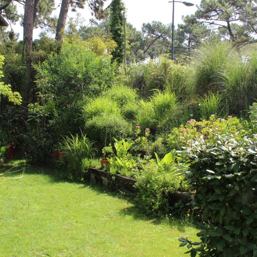 La Maison Face Au Port Lège-Cap-Ferret Zewnętrze zdjęcie